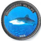 1 Dollar (Blue Shark)