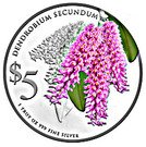 5 Dollars (Dendrobium Secundum)